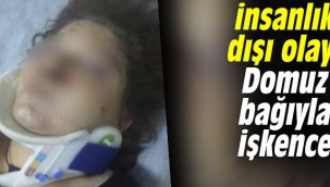 AFYONKARAHİSAR'DA DOMUZBAĞI İŞKENCESİ