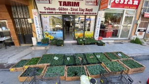 ALDEMİR TARIM'DA FİDE SATIŞLARI BAŞLAMIŞTIR