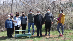 Başkan Sarı’dan “Sokak Hayvanları Günü’nde Anlamlı Uygulama”