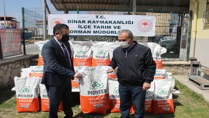 Dinar'da Ayçiçeği Tohumu Dağıtıldı