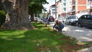 Başkan Sarı, “Lise caddemizde güller açıyor”
