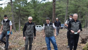 Orman Bölge Müdürümüz Dinar İşletmesi Gençleştirme Sahalarında İncelemelerde Bulundu