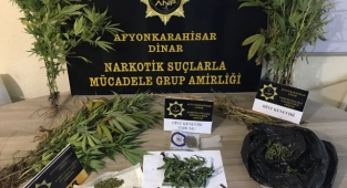46 KÖK HİNT KENEVİRİ VE ÇOK SAYIDA UYUŞTURUCU MADDE ELE GEÇİRİLDİ!