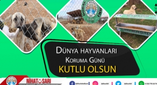 Başkan Sarı’dan 4 Ekim Dünya Hayvanları Koruma Günü Mesajl