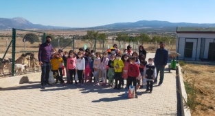 Başkan Sarı, Tüm halkımızı Sahipsiz Sokak Hayvanları Merkezimizi ziyarete davet ediyoruz