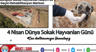 Başkan Sarı’dan Dünya Sokak Hayvanları Günü Mesajı
