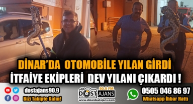 Dinar'da Otomobile Giren Dev Yılan Çıkarıldı