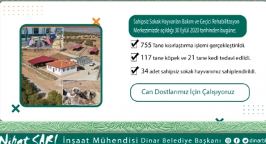 Sahipsiz Sokak Hayvanları Merkezimizde 755 tane hayvan kısırlaştırıldı