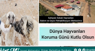 Belediye Başkanımız Nihat Sarı’dan Dünya Hayvanları Koruma Günü Mesajı