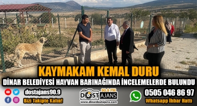 KAYMAKAM DURU DİNAR BELEDİYESİ HAYVAN BARINAĞINDA İNCELEMELERDE BULUNDU