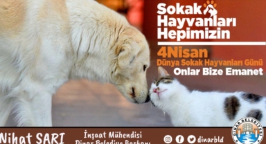 Belediye Başkanımız Nihat Sarı’dan Sokak Hayvanları Günü Mesajı