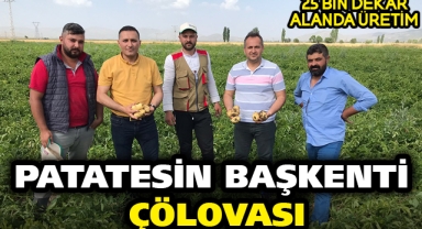 ÇÖLOVASINDA 25 BİN DEKAR ALANDA PATATES ÜRETİLİYOR