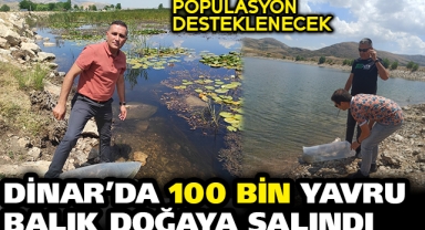 Dinar'da 100 Bin Yavru Balık Doğaya Salındı