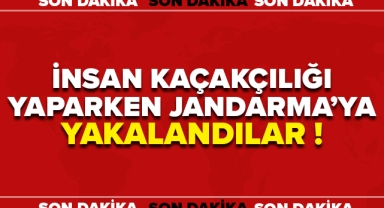 İnsan Kaçakçılığı Yaparken Jandarmaya Yakalandılar