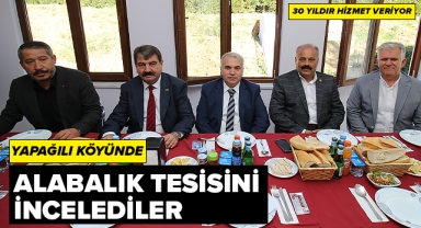 YAPAĞILI'DA ALABALIK TESİSİNİ İNCELEDİLER