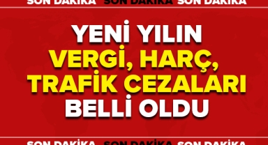 YENİ YILIN VERGİ, HARÇ VE TRAFİK CEZALARI BELLİ OLDU!