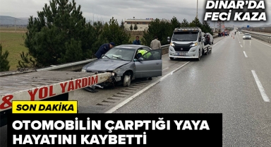 OTOMOBİLİN ÇARPTIĞI YAYA HAYATINI KAYBETTİ