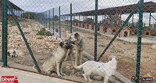 BURASI BARINAK DEĞİL, REHABİLİTASYON MERKEZİ!